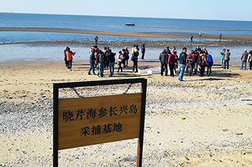 晓芹海参采捕基地实拍图1