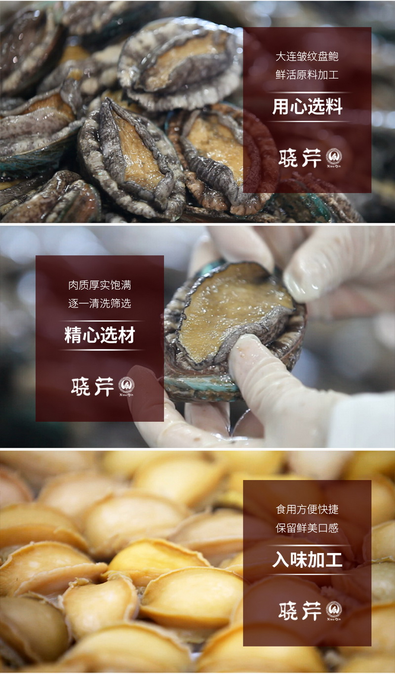 鲍鱼 ,大连鲍鱼 ,晓芹鲍鱼 ,鲍鱼品牌,即食鲍鱼,皱纹盘鲍