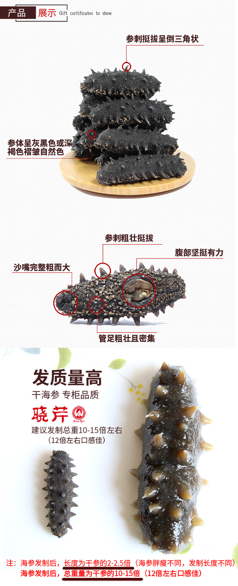 海参,干海参,大连海参,晓芹海参,海参品牌,辽刺参,海鲜水产 海参,干海参,大连海参,晓芹海参,海参品牌,辽刺参,海鲜水产