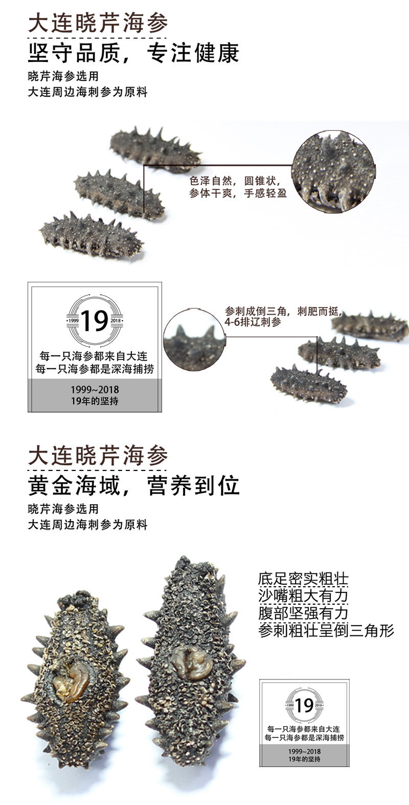 海参,干海参,大连海参,晓芹海参,海参品牌,辽刺参,海鲜水产 海参,干海参,大连海参,晓芹海参,海参品牌,辽刺参,海鲜水产