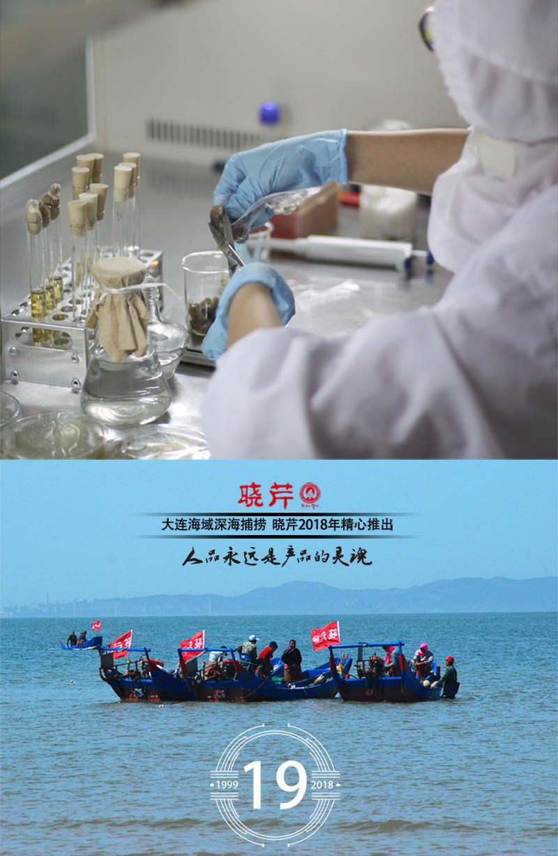 海参,干海参,大连海参,晓芹海参,海参品牌,辽刺参,海鲜水产 海参,干海参,大连海参,晓芹海参,海参品牌,辽刺参,海鲜水产