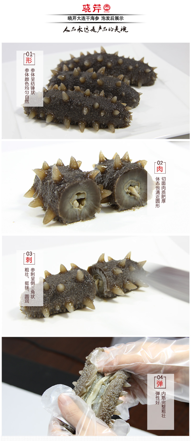 海参,干海参,大连海参,晓芹海参,海参品牌,辽刺参,海鲜水产 海参,干海参,大连海参,晓芹海参,海参品牌,辽刺参,海鲜水产