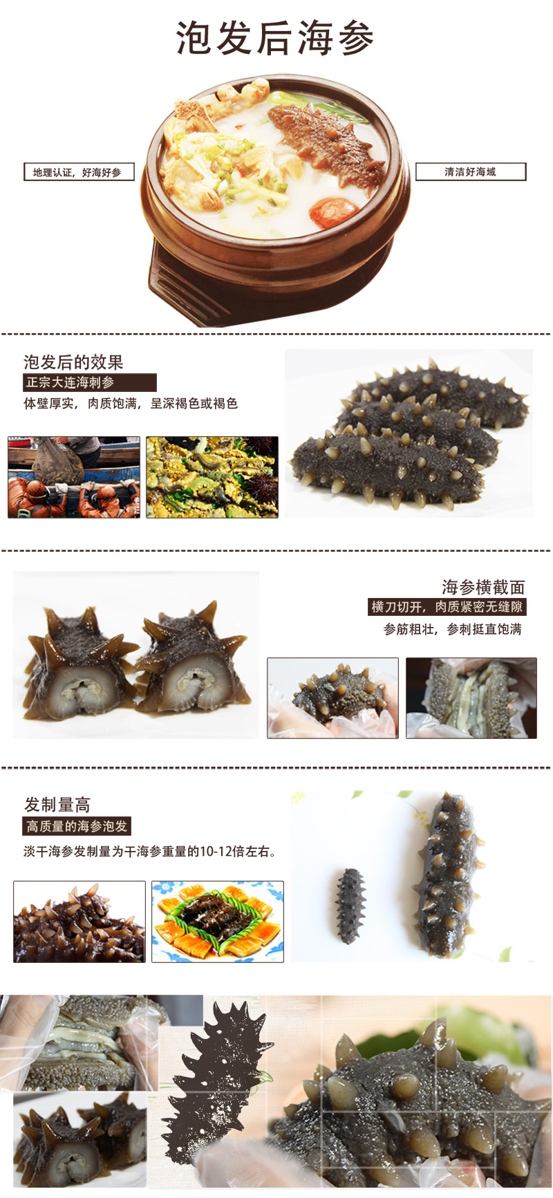 海参,干海参,大连海参,晓芹海参,海参品牌,辽刺参,海鲜水产 海参,干海参,大连海参,晓芹海参,海参品牌,辽刺参,海鲜水产