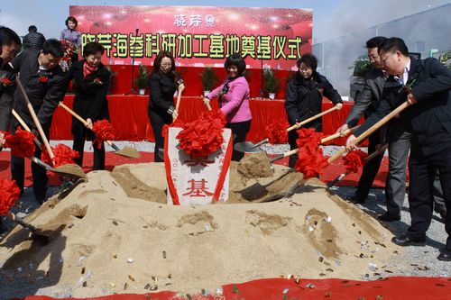 晓芹,海参,大连海参,晓芹海参