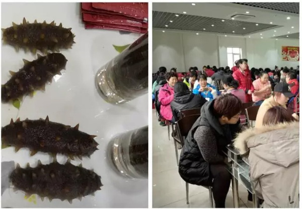 晓芹海参,海参,大连海参,辽宁海参,工厂参观