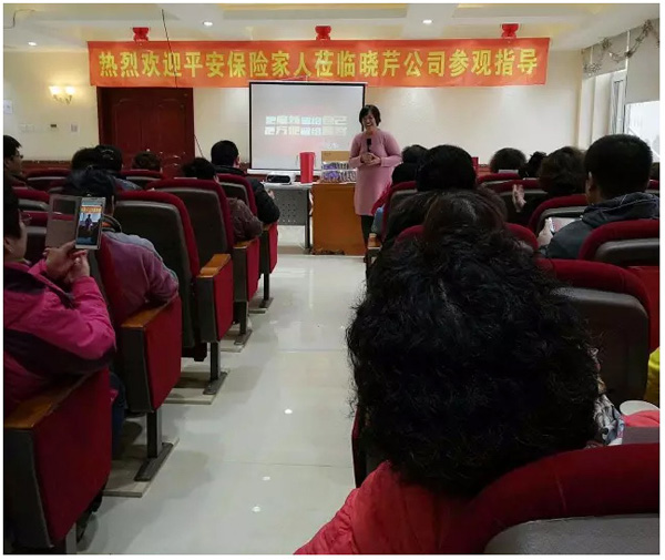 晓芹海参,海参,大连海参,辽宁海参,工厂参观