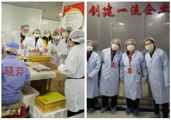 晓芹海参,海参,大连海参,辽宁海参,工厂参观