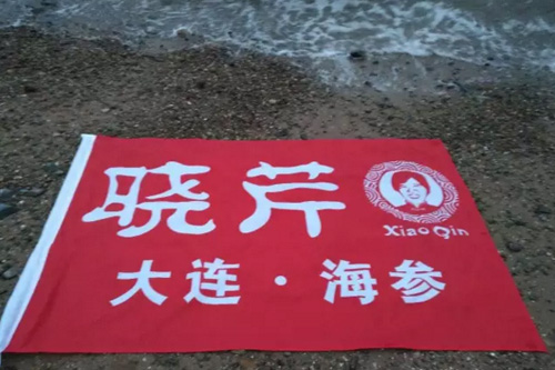 晓芹海参,辽宁海参,海参,大连海参,食品安全