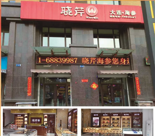 晓芹,海参,,晓芹海参,大连海参,晓芹二十周年
