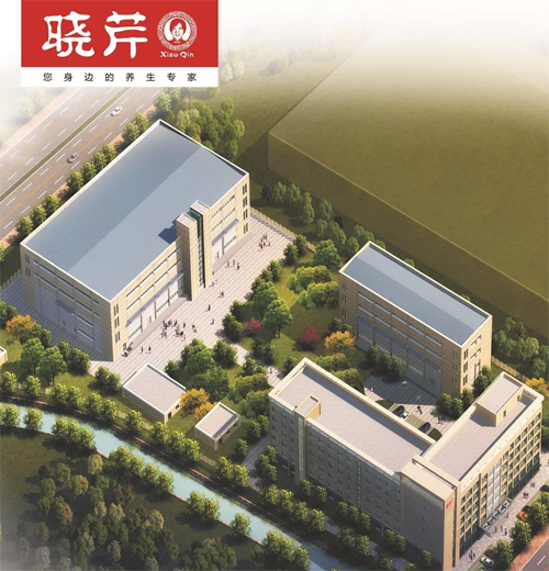 晓芹,海参,,晓芹海参,大连海参,晓芹二十周年