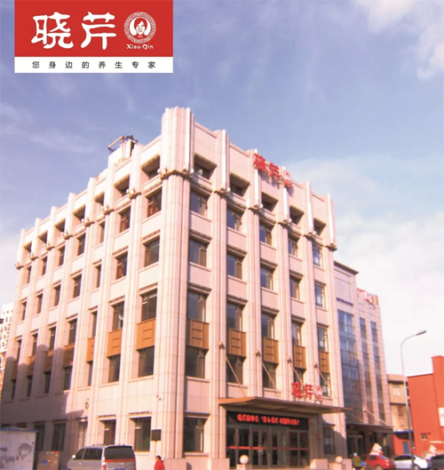 晓芹,海参,,晓芹海参,大连海参,晓芹二十周年