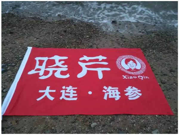 晓芹海参,辽宁品牌,海参,大连海参