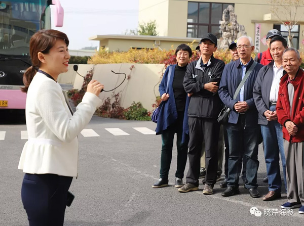 海参,晓芹海参,大连海参.jpg