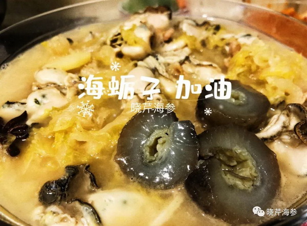 海参肽,大连海参,晓芹海参,海参,抗击疫情,疫情,献爱心.jpg